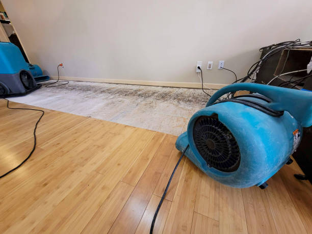Professional Water Removal technician working in Cataumet, MA